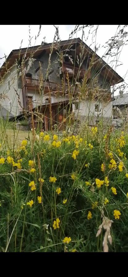 سان-رهيمي-أون-بوسيز La Thuillettaz B&B المظهر الخارجي الصورة